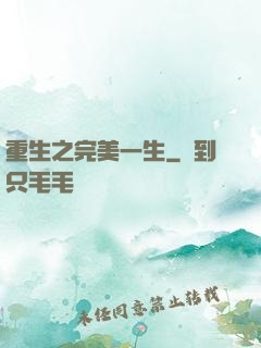 重生之完美一生