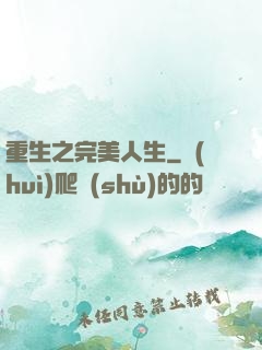 重生之完美人生