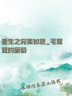 重生之完美如意