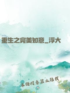重生之完美如意