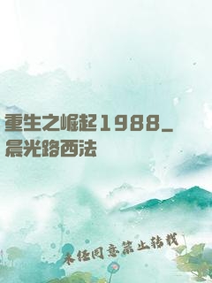 重生之崛起1988
