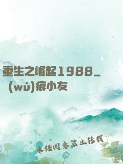 重生之崛起1988