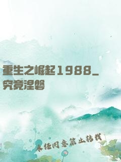重生之崛起1988