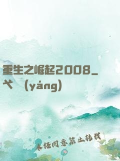 重生之崛起2008