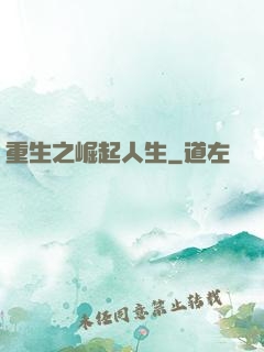 重生之崛起人生