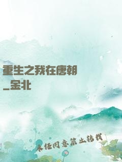 重生之我在唐朝賣絲襪
