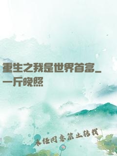 重生之我是世界首富