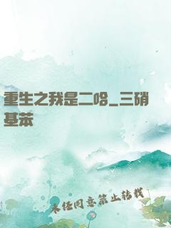 重生之我是二哈