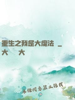 重生之我是大魔法師