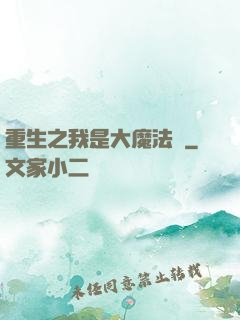 重生之我是大魔法師