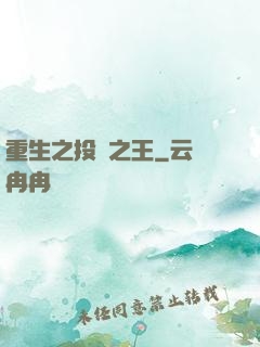 重生之投資之王