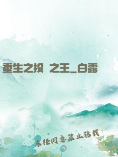 重生之投資之王