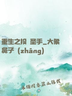 重生之投資圣手