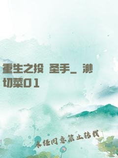 重生之投資圣手