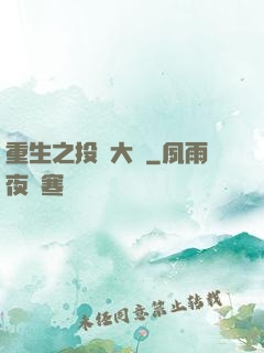 重生之投資大鱷
