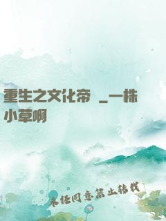 重生之文化帝國