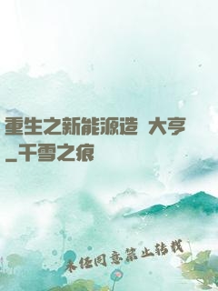 重生之新能源造車大亨
