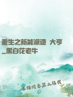 重生之新能源造車大亨