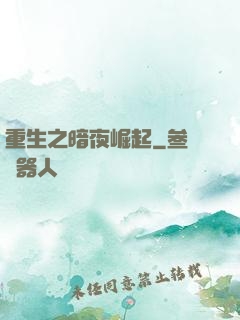 重生之暗夜崛起
