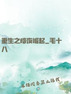 重生之暗夜崛起