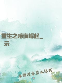 重生之暗夜崛起