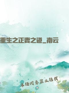 重生之正妻之道