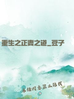 重生之正妻之道