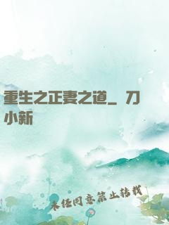 重生之正妻之道