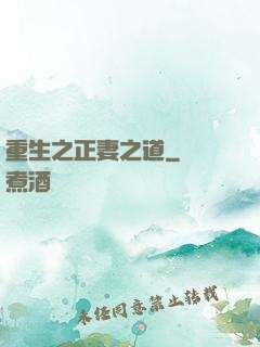 重生之正妻之道