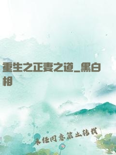 重生之正妻之道