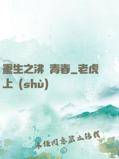 重生之沸騰青春