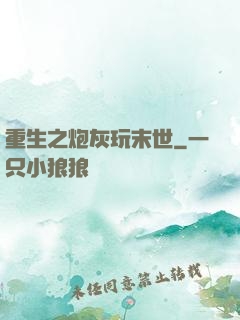 重生之炮灰玩末世
