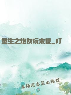 重生之炮灰玩末世