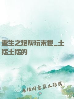重生之炮灰玩末世