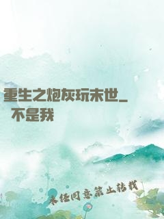 重生之炮灰玩末世