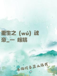 重生之無(wú)雙魂帝