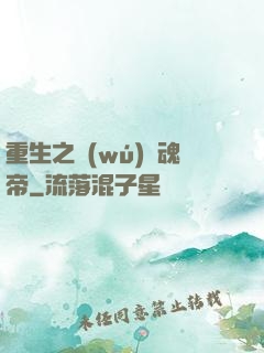 重生之無(wú)雙魂帝