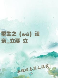 重生之無(wú)雙魂帝