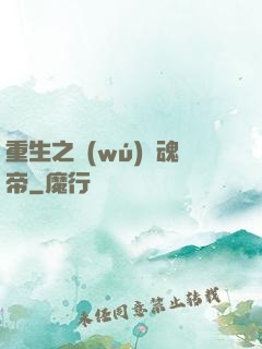 重生之無(wú)雙魂帝