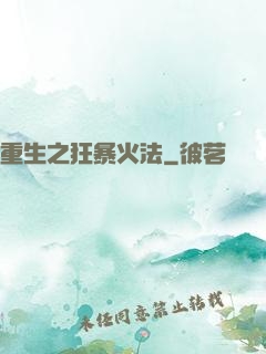 重生之狂暴火法
