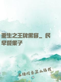 重生之王牌黑客