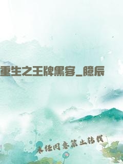 重生之王牌黑客