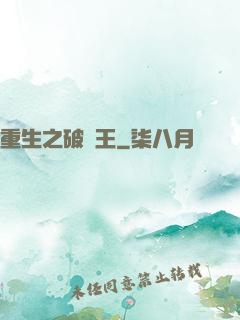 重生之破爛王
