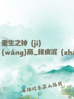 重生之神級(jí)網(wǎng)商