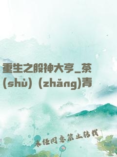 重生之股神大亨
