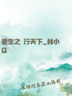 重生之賊行天下