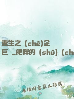 重生之車(chē)企巨頭