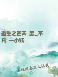 重生之逆天盜圣