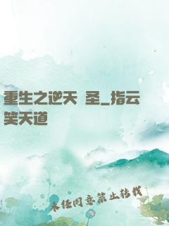 重生之逆天盜圣
