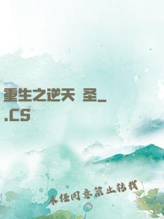 重生之逆天盜圣